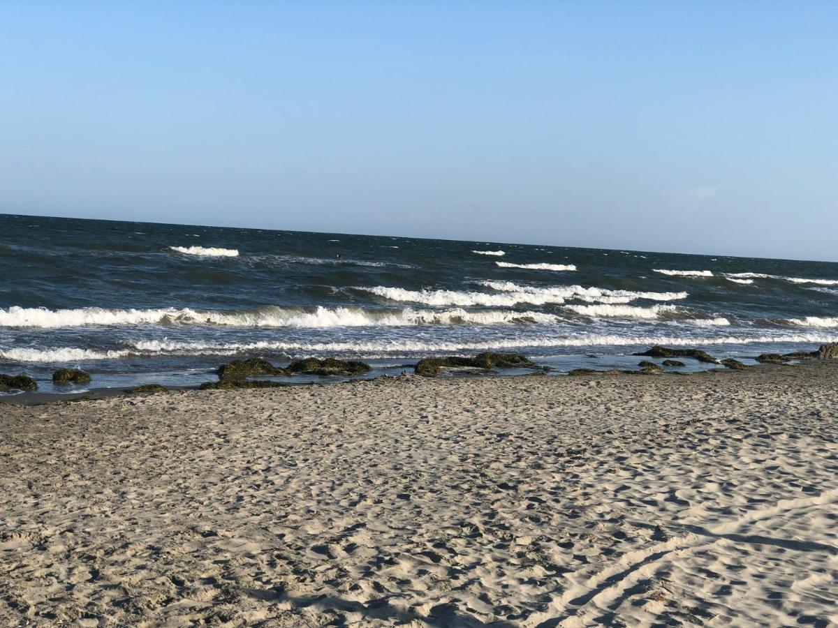 Mare&Terra... Alloggi Nel Delta Polesine Camerini Exteriör bild